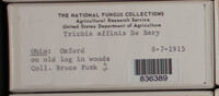 Image Associated With the Occurence